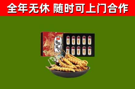 大祥区烟酒回收冬虫夏草礼盒.jpg